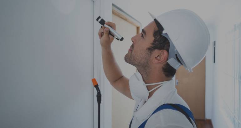 Building and Pest Inspection